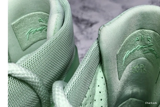 of 1 Nike Fear Air AR4237-300 Spruce God  Frosted 1007